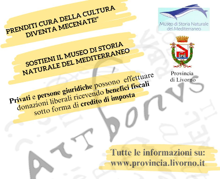 art bonus 2024