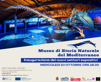 Museo Mediterraneo 