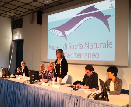Museo Mediterraneo congresso ANMS